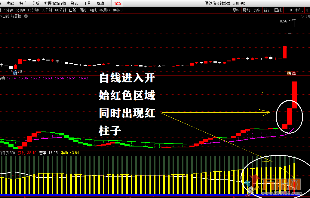 “神龙入海”和“红凤报喜”两个神级指标，附用法说明，无加密无未来