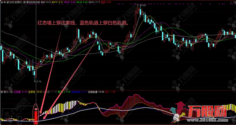 【南天一柱】2024新版 金刚罩与神龛护佑着（指标 通达信 副图 选股）