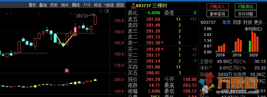 银城华哥V反主图 选股 预警 源码更新版