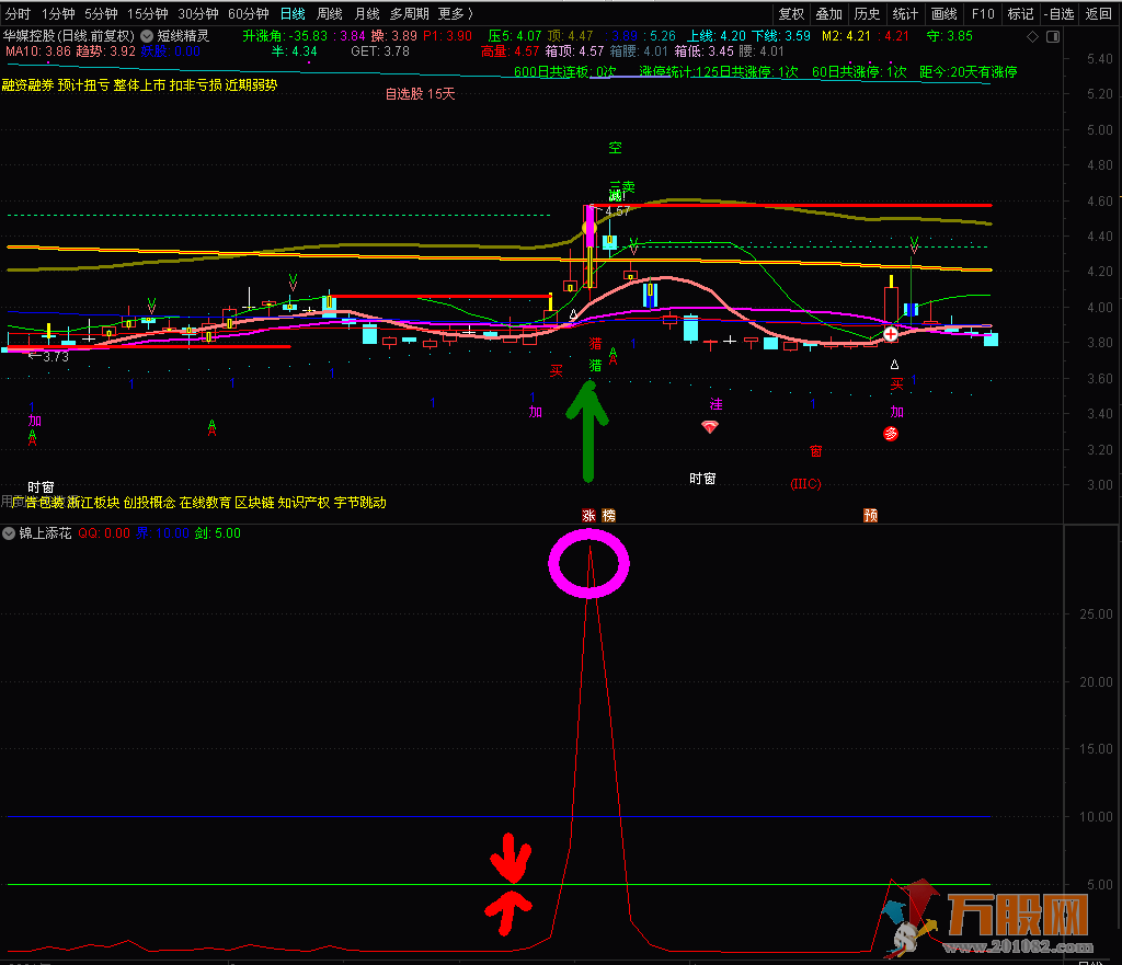 涨停股打板鉴别器 通达信 副图 贴图 无加密