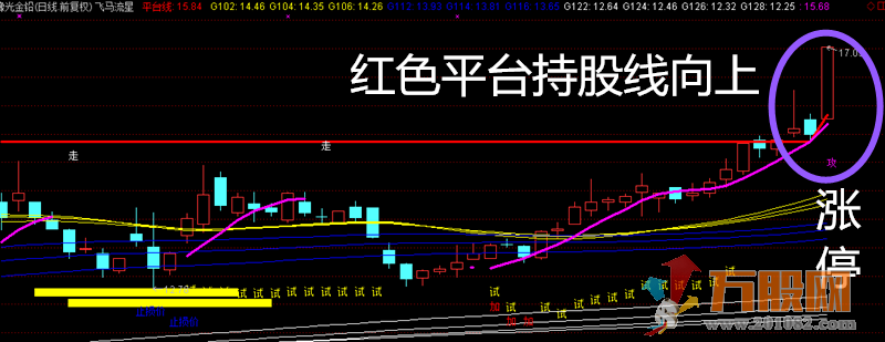 飞马流星终极战法 多年实战 无加密全套指标