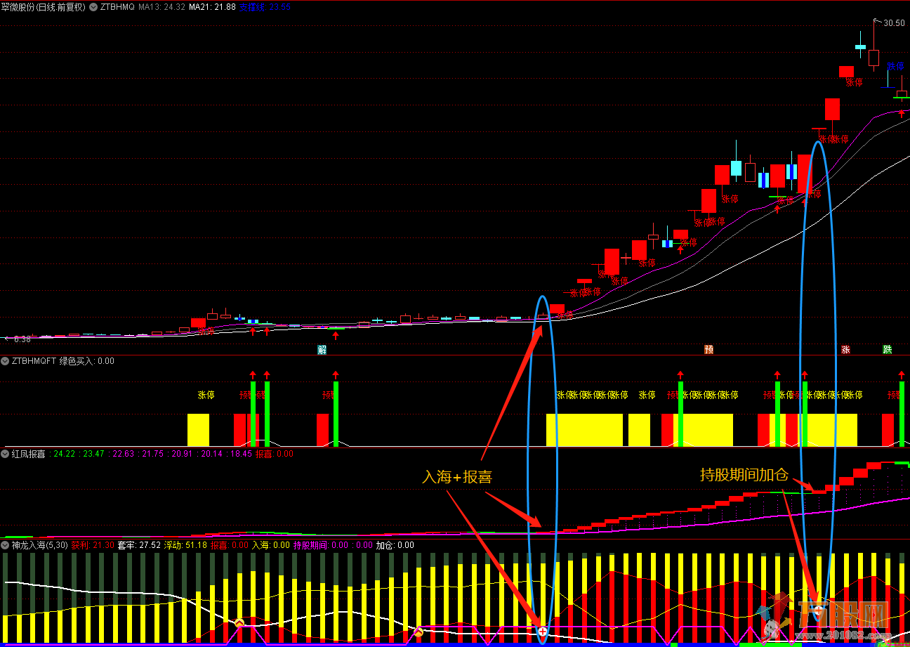 神龙入海与红凤报喜优化版 通达信副图及选股