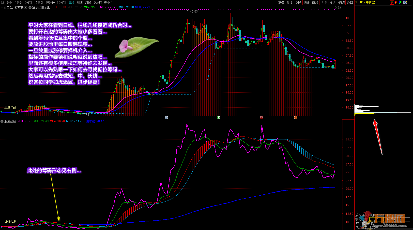 《股道圣经》通达信副图指标 增强个人盘感和趋势感