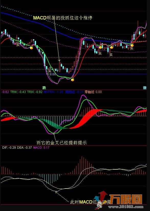 廷进MACD副图源码