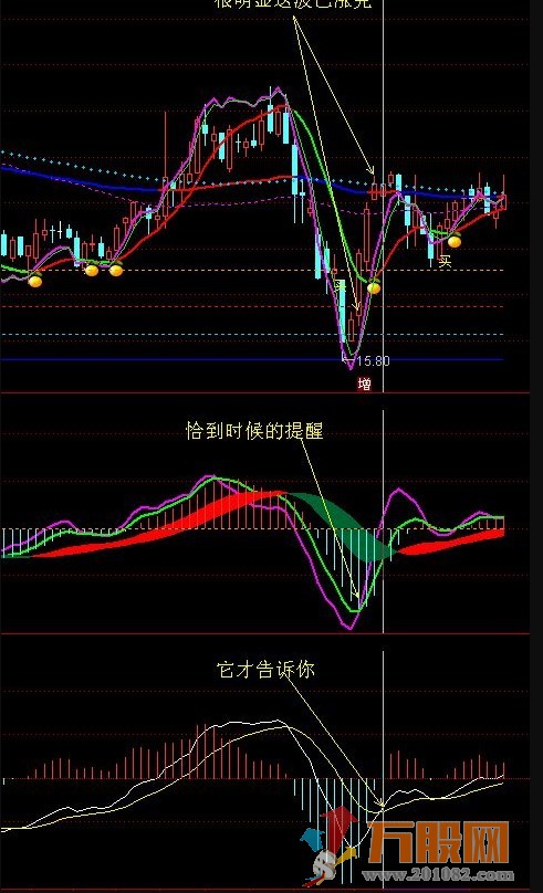 廷进MACD副图源码