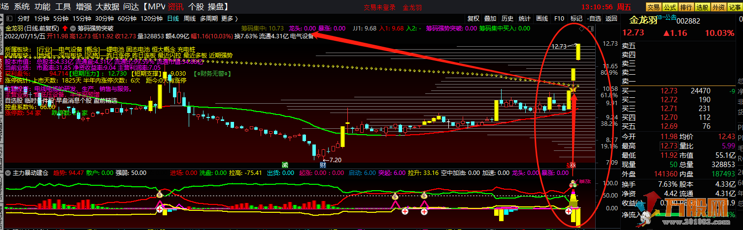 筹码强势突破抓强股 通达信主副图+选股 无加密