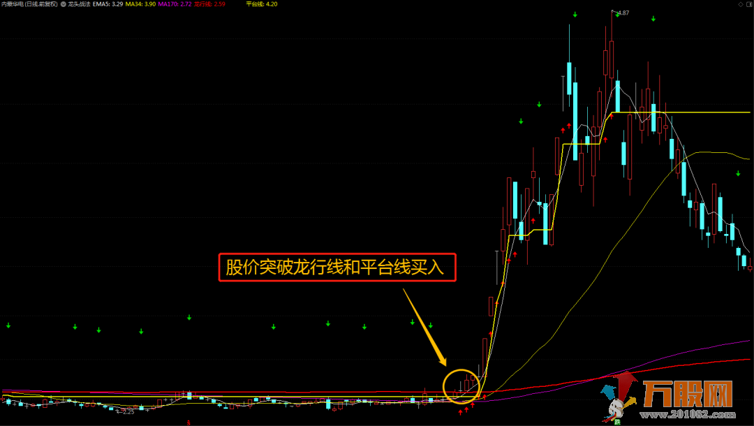 “龙行天下”十年一剑指中王 成功率80%左右