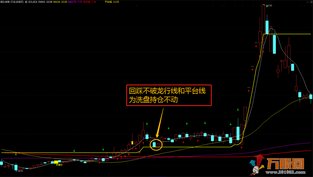 “龙行天下”十年一剑指中王 成功率80%左右