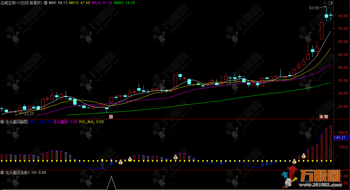 通达信【龙头基因】副选指标 从低位潜伏首版做起人气监测
